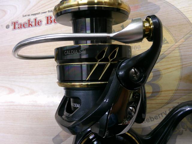 22カルディアSW 8000-H