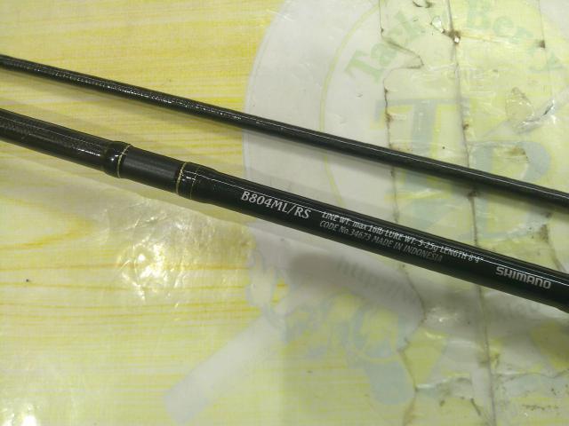 エクスセンス B804ML/RS