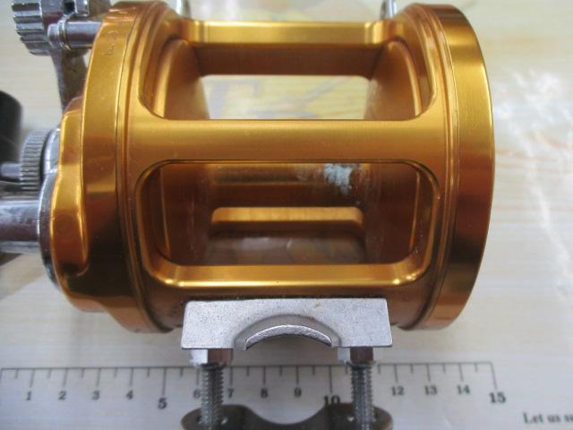 インターナショナルⅡ 12T 