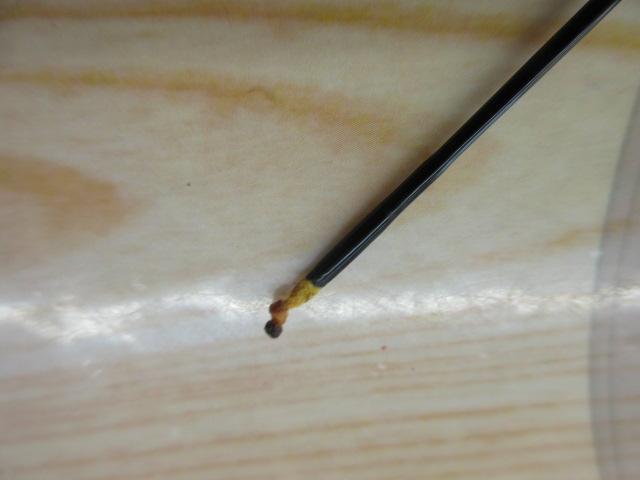 華仙頂11.1