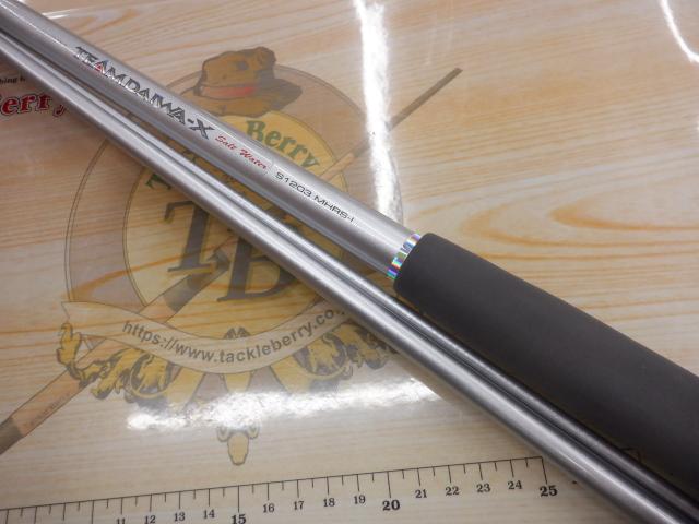 TD-X S1203MHRS-I