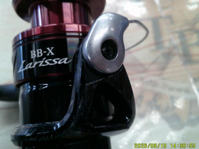 16BB-Xラリッサ C3000DXG