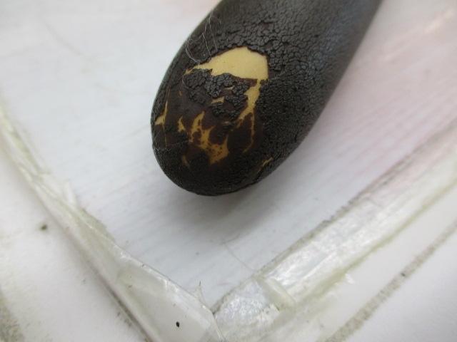 朱紋峰 先ぬけ 22