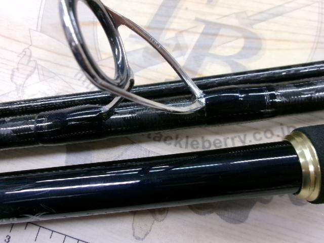 ネッサCI4+ S1008MMH