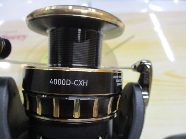 23BG SW 4000D-CXH