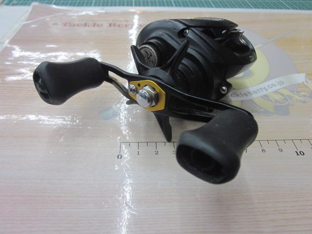 タトゥーラ TW 100H