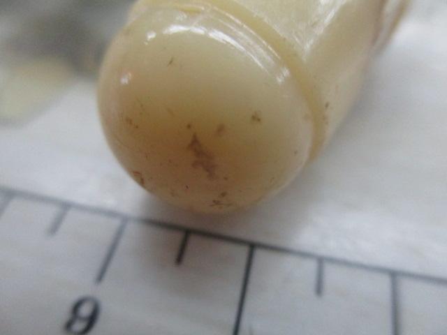 シーラインNo.25