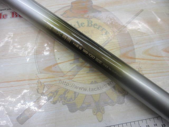 AZ鮎EX時雨 H2.5 95-100GⅡ