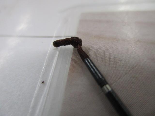 飛天弓 皆空 13