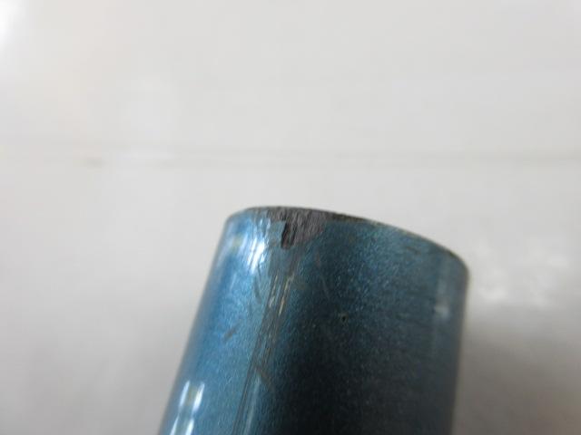 プロスタッフ鮎コロガシUH81