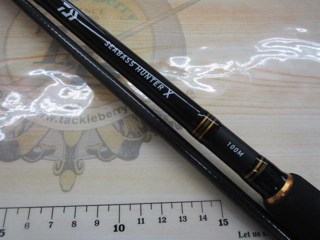 シーバスハンターX 100M・R