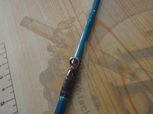 ロコモーションヒラメ220