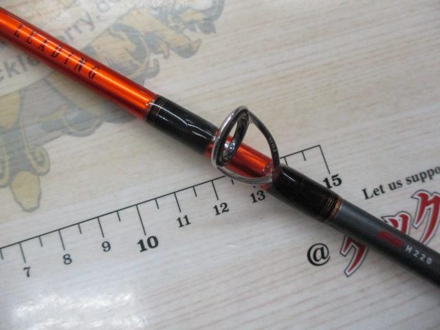 リーディング 55 H-220
