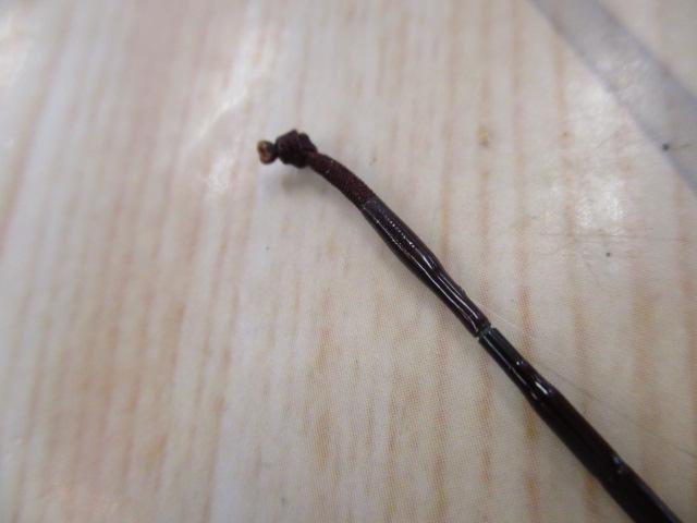 飛天弓 一騎 11