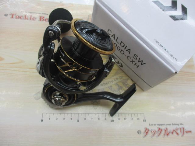 22カルディアSW 5000D-CXH