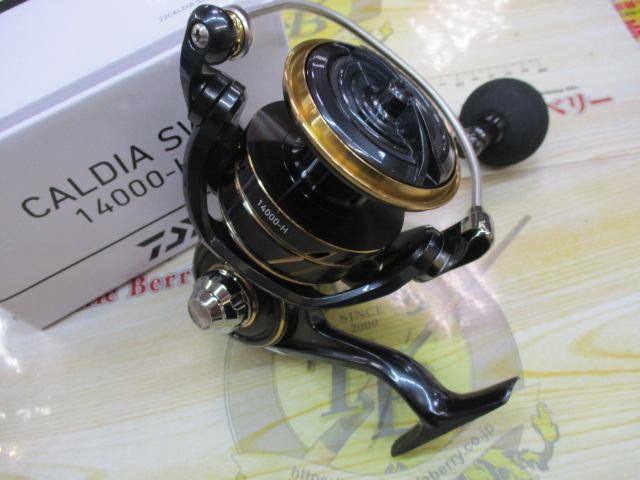 22カルディアSW 14000-H