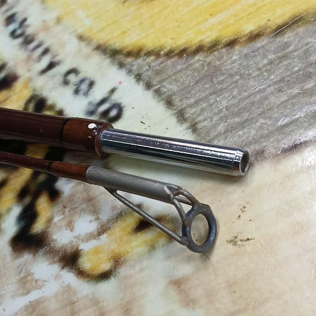 ガルシアコノロン