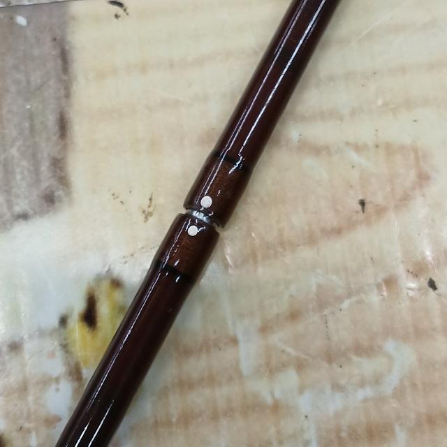 ガルシアコノロン