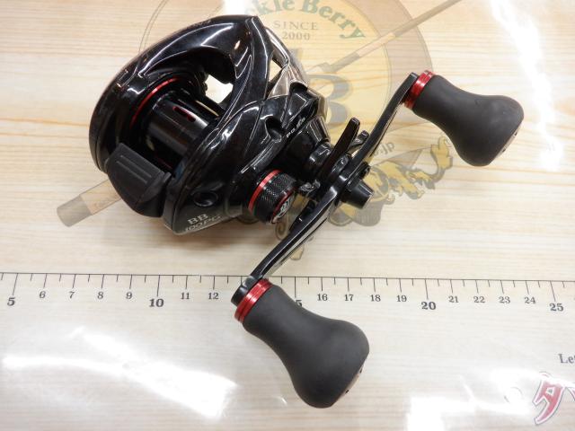16炎月BB 100PG