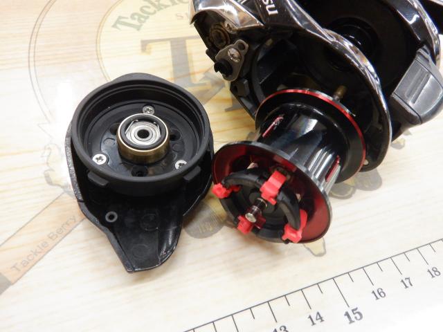 16炎月BB 100PG