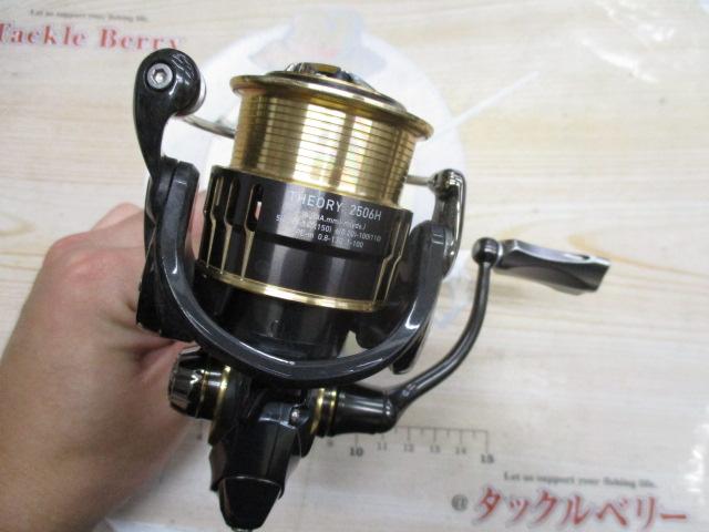 17セオリー 2506H