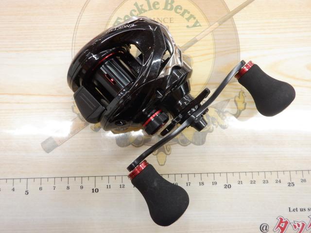 16炎月BB 100PG