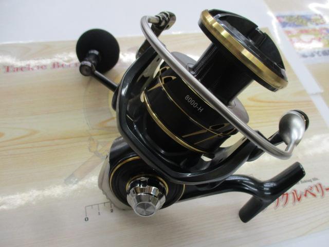 22カルディアSW 8000-H