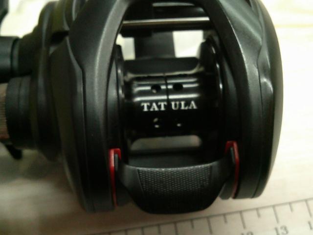 タトゥーラ TW 100XHL