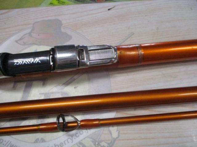 キャスティズム 30-385・W
