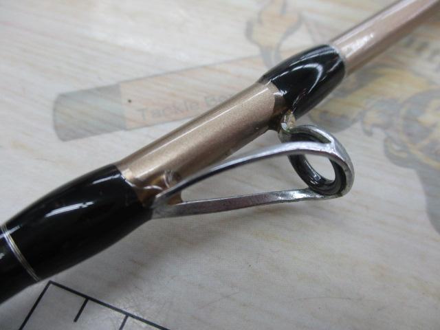 海人アオリ烏賊125