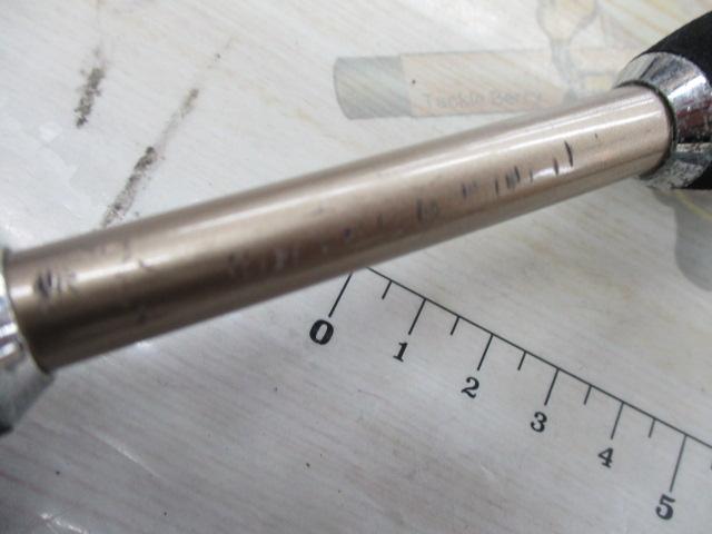 海人アオリ烏賊125