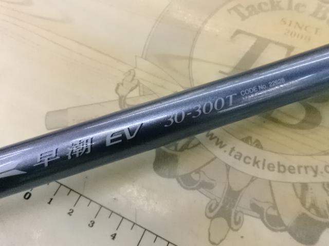 IH早潮EV 30-300T