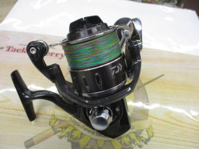 16キャタリナ 4500H