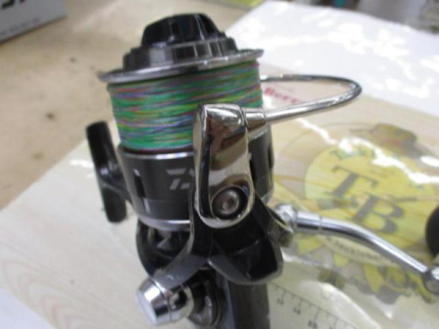 16キャタリナ 4500H