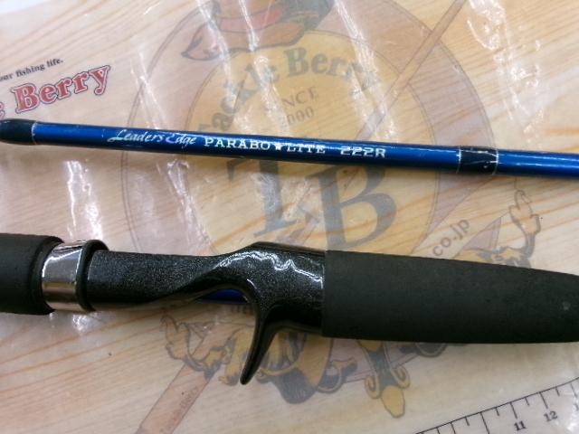 リーダーズエッジパラボライト222R