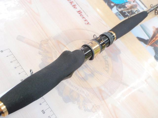 リーオマスター真鯛 M-300・W