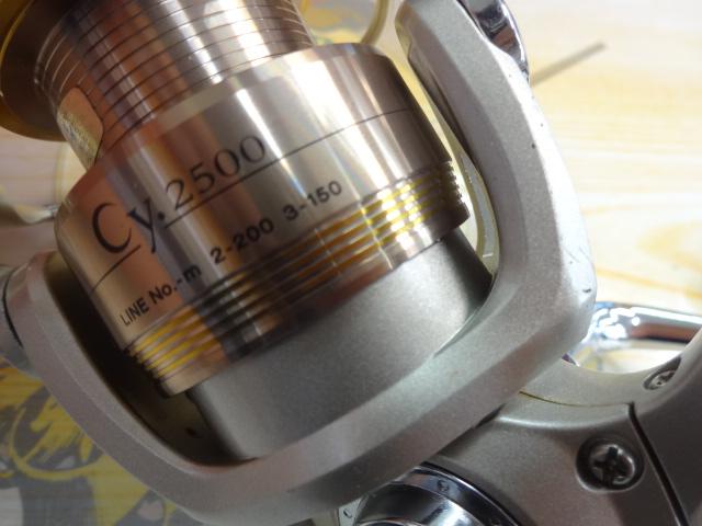サイ 2500