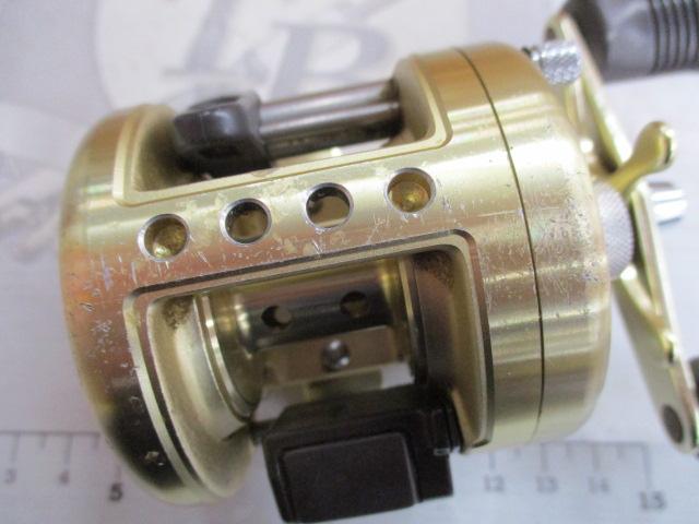 カルカッタ 100XT