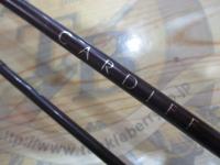 カーディフ CF60-2LⅡ