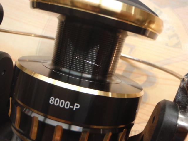 23BG SW 8000-P