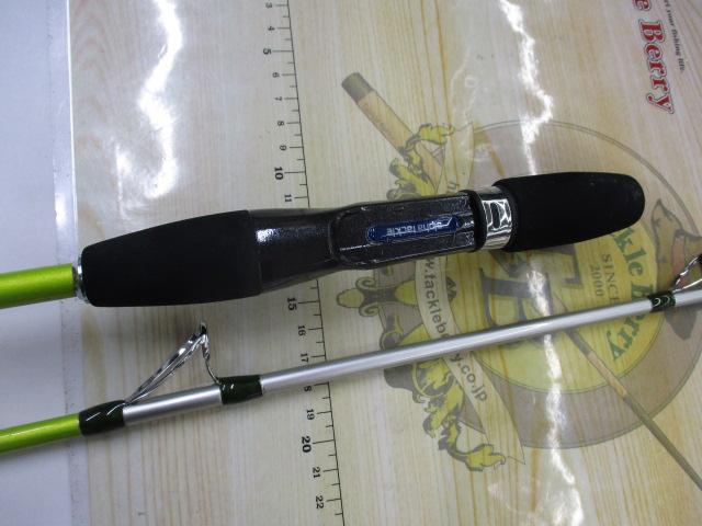 リーダーズエッジパラボライト200T