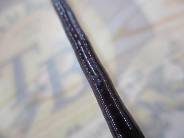 14サーフリーダー 425BXT
