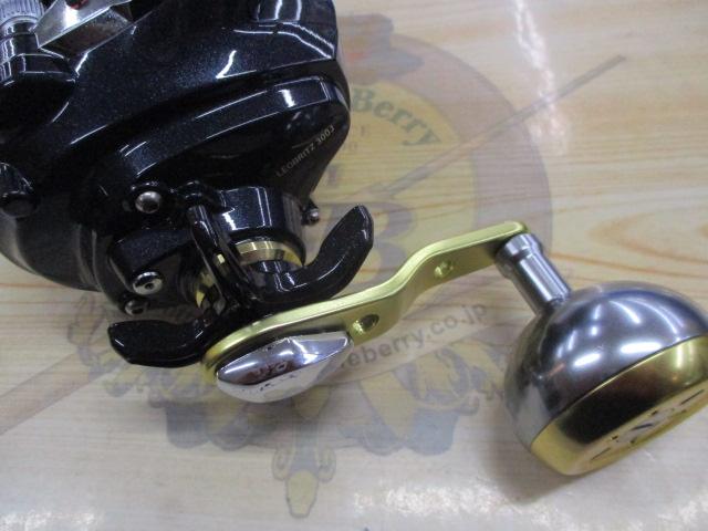 15レオブリッツ 300J