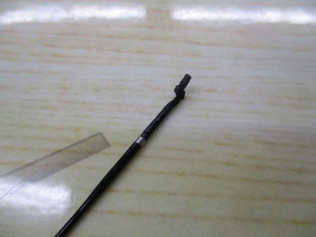 普天元 獅子吼 9