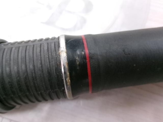 PL振出南方石鯛 525H