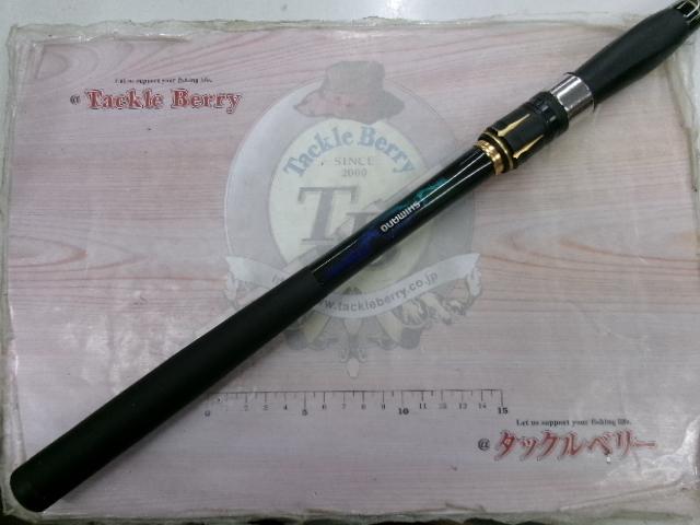 21アオリスタ 500