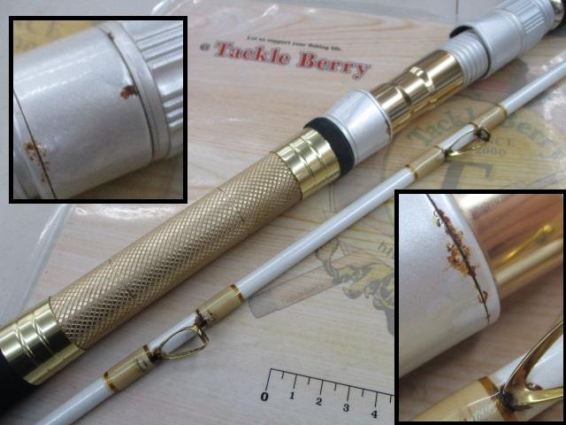剛樹Gチームマダイ300S 3.0m LINE2-6 WEIGHT30-80