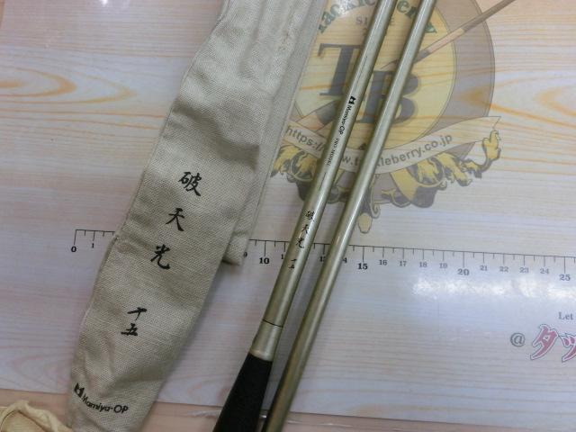 プロモデル破天光15