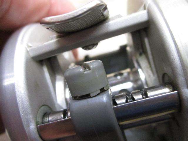 カルカッタ 100