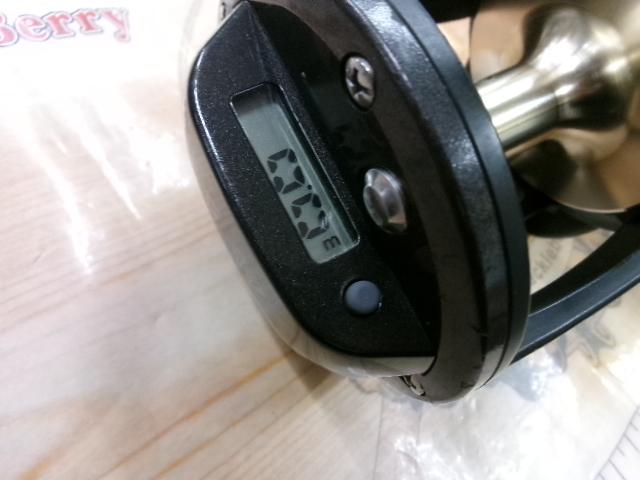 巨鯉 40W